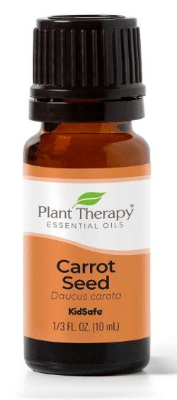 Carrot Seed Oil - Carrot Seed Essential Oil