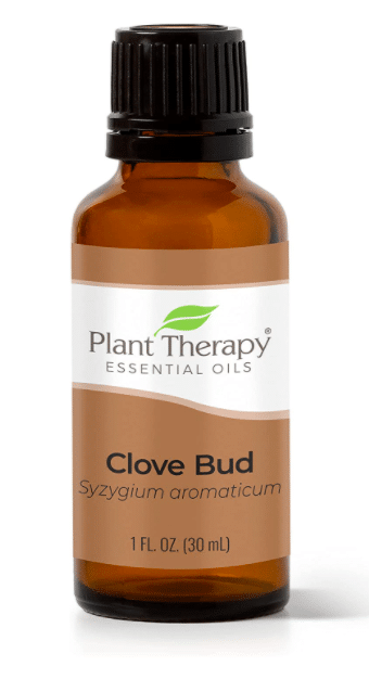 Clove Oil - Essential Oils For Bug Bites