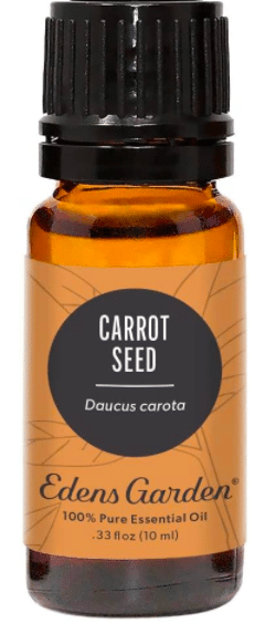 Edens Garden Carrot Seed Oil - Carrot Seed Essential Oil