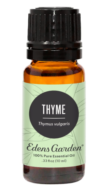 Edens Garden Thyme Oil - Thyme Essential Oil
