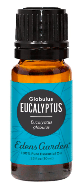 Eucalyptus Oil Edens Garden - Essential Oils For Bronchitis