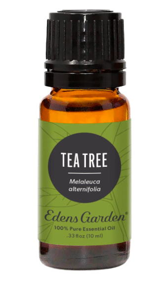 Tea Tree Essential Oil - Essential Oils For Itching