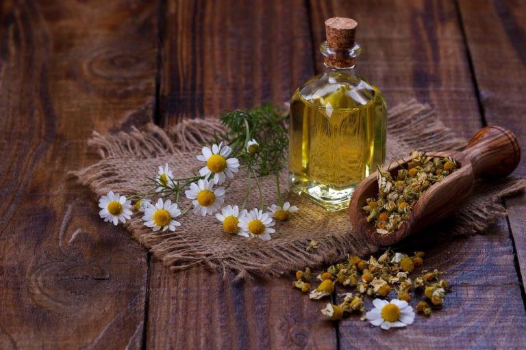 Chamomile Essential Oil With Chamomile Flowers