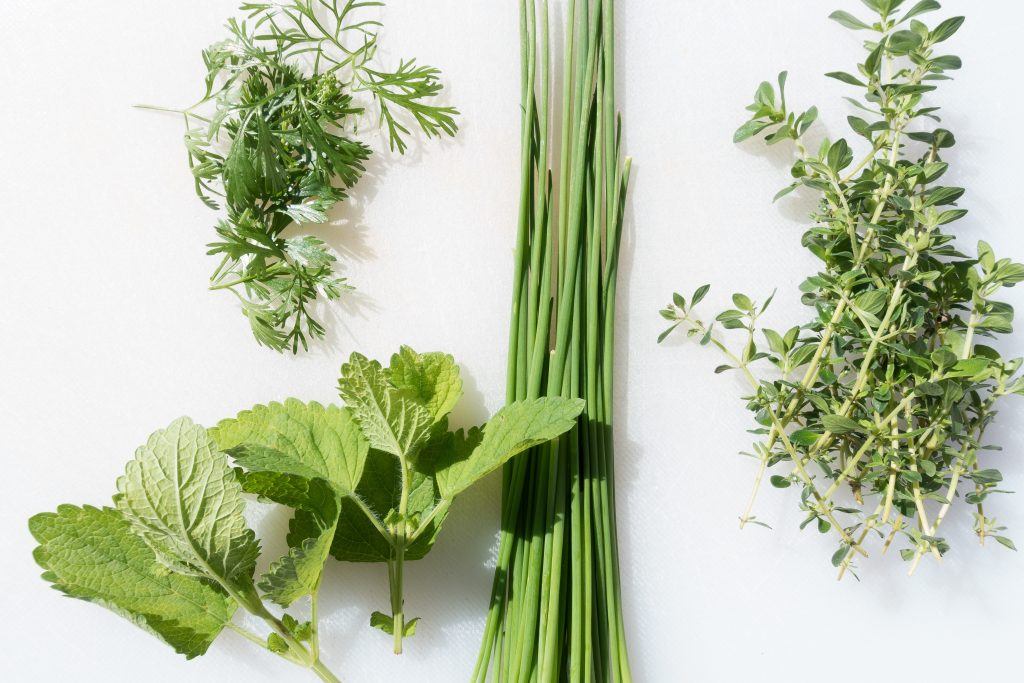 Chives, Fresh Greenery