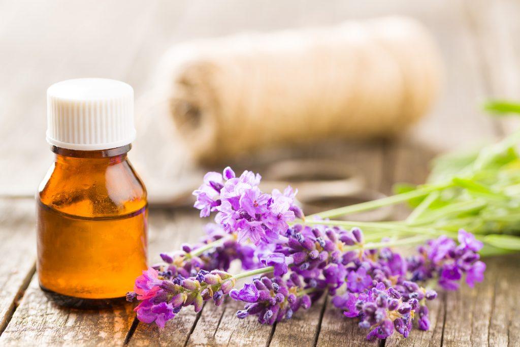 Essential Oil And Lavender Flowers 4Hejstc 1024X683 1 - Essential Oils For Sinus Infection