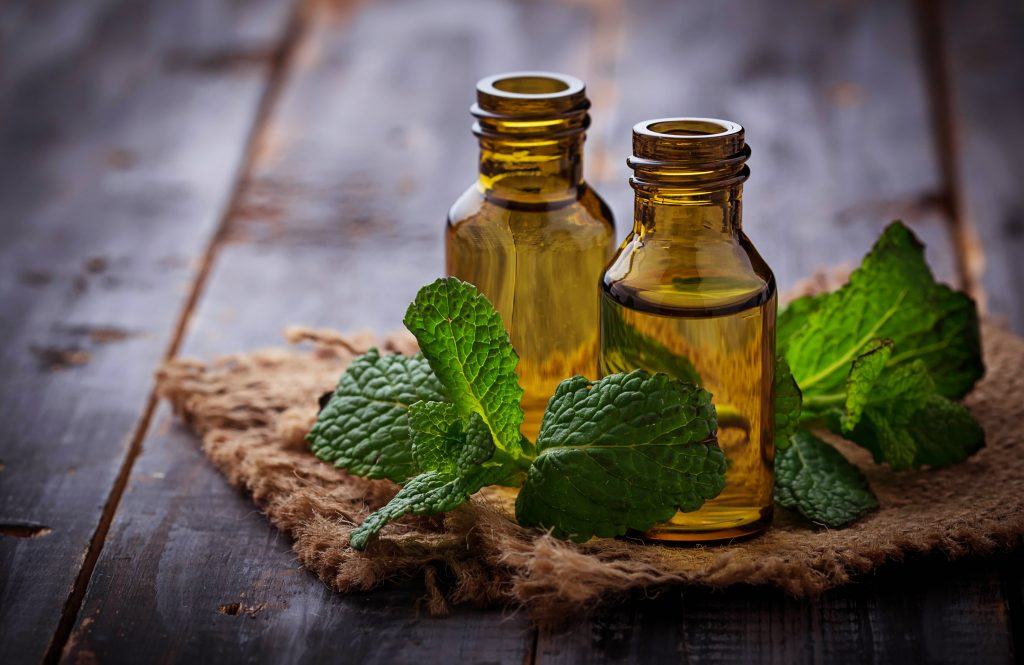 Mint Oil In Small Bottles And Fresh Mint 73Sgmb6 1024X665 1 - Essential Oils For Sinus Infection