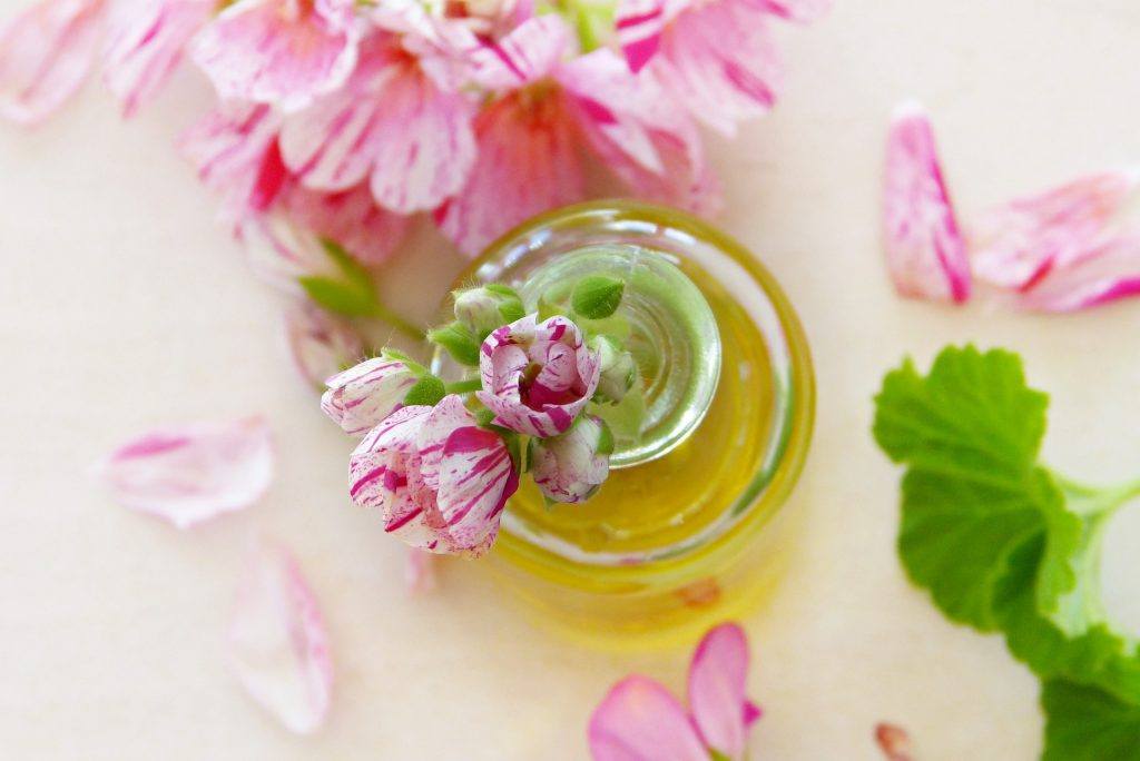 Geranium Essential Oil Its Uses Benefits And Healing Properties