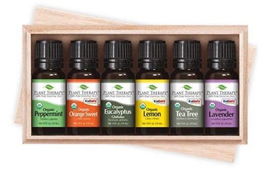 Plant Therapy Top 6 USDA Organic Essential Oil Set - Lavender, Peppermint,  Eucalyptus, Lemon, Tea Tree 100% Pure, Natural Aromatherapy, for Diffusion  & Topical Use, Therapeutic Grade 10 mL (1/3 oz) : Health & Household 